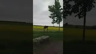 Средневековый ПРОВАН. Франция.