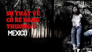 Sự thật về Maria ở Mexico - Video Cartel buồn nhất