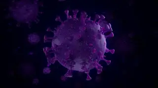 Cinema 4D Virus