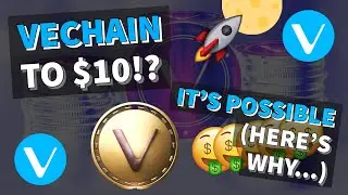 WHY VECHAIN CAN HIT $10 IN THE FUTURE (Massive Target Market...)