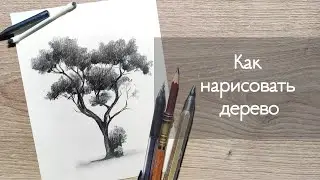 УРОК 3 - КАК НАРИСОВАТЬ ДЕРЕВО | Нарисовать пушистое дерево  | рисунок шаг за шагом!