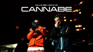 MALLE458 x MOHA MO - CANNABE (prod. by Sonnek & Tyme)