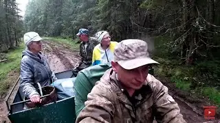 Даже не знаю чтобы я делал без КАРАКАТА! // Рыбалка рагатками на таёжной речке. Грибы/Ягоды/Отдых.