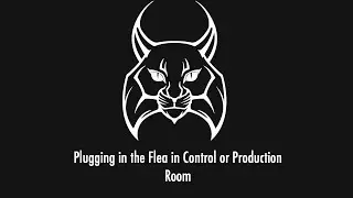 Plugging in the Flea in the Control or Production Room