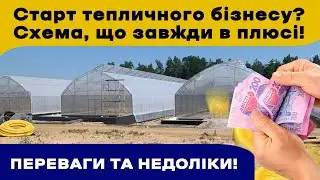 Схема старту тепличного бізнесу, при якій Ви завжди будете в плюсі!