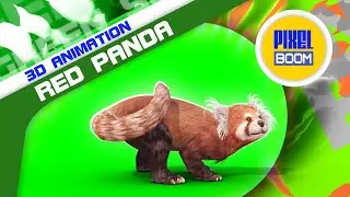 Green Screen Red Panda 3D Animation PixelBoom