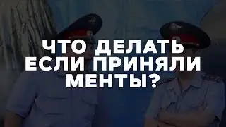 Менты приняли|Что делать?