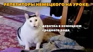 Что говорят репетиторы немецкого | КОТ БЕНДЕР