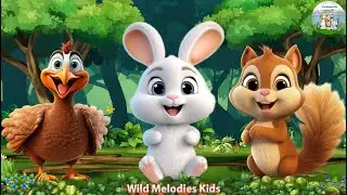 Wild Animal Sounds: Squirrel, Vulture, Rabbit, Tiger - Animals Sound