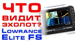 Что показывает эхолот Lowrance Elite FS тест на воде / поиск хищника