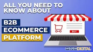 What is B2B eCommerce Platform/Customer Portal?