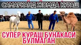 САМАРКАНД ЖОМДА КАТТА КУРАШ БОШЛАНДИ