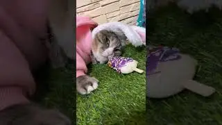 Ну в этой шапке я как дура 