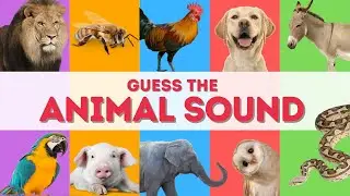 Guess the ANIMAL Sound for Kids 🦁🐮🐸