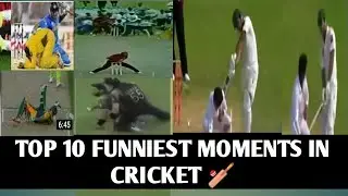 Top 10 funniest moments in cricket history|Most Funny moments in cricket | best Cricket funny memes