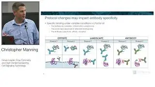 Mastering Phospho Flow: Optimizing Immune Cell Activation Assays