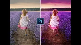 How to Make Colors Pop in Photoshop in Just 3 Minutes