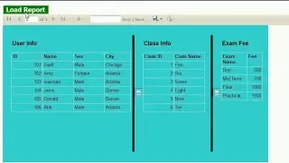 RDLC Report in c#. Multiple Reports in Single RDLC Report in asp.net c# SQL Server Step By Step