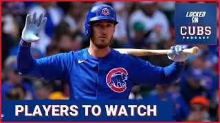 Who are the PLAYERS TO WATCH for the Chicago Cubs?