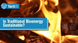 Is Traditional Bioenergy Sustainable? | Renewable Energy | SDGPlus