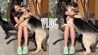 VLOG / ОТКРЫВАЕМ ДАЧНЫЙ СЕЗОН 2023/ СЕМЕЙНЫЕ ВЫХОДНЫЕ