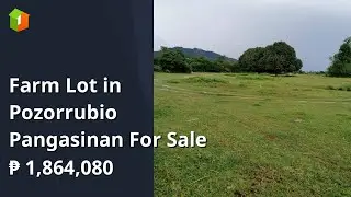 Farm Lot in Pozorrubio Pangasinan For Sale