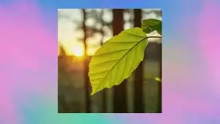 Лопине - Нейросеть (текст, минус)