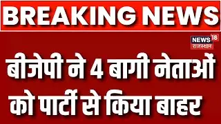 Rajasthan Election 2023 : निर्दलीय चुनाव लड़ने पर BJP ने 4 बागियों पर की कार्रवाई | Congress | News