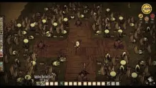 Don't Starve | Wickerbottoms Super Farm