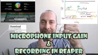 Mic Gain Settings, Basic recording & Editing in Reaper DAW