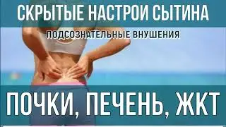 ИСЦЕЛЕНИЕ ПОЧЕК, ПЕЧЕНИ, ЖКТ, ПОЯСНИЦЫ ПОДСОЗНАТЕЛЬНЫЕ ВНУШЕНИЯ И СЛОВА ПАРОЛИ (саблиминал)