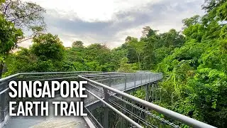 Walking on Earth Trail to ISS Depot Road School Gate | International School of Singapore