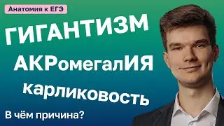 6.92. Гигантизм, акромегалия, карликовость | Анатомия к ЕГЭ | Георгий Мишуровский