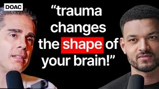 No.1 Childhood Trauma Doctor: 10 Lies They Told You About Your Childhood Trauma! - Paul Conti