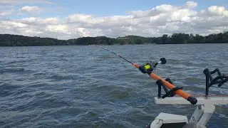 Proven Method For Fall Catfish