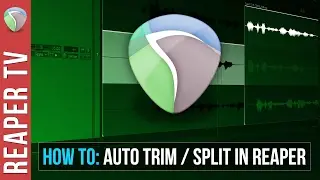 Reaper Tutorial: Auto Split / Trim Basics