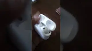 air pods