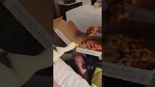 Desperate Duck Wants Owners Pizza