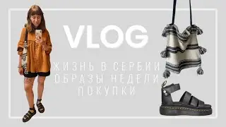 Образы недели | жизнь в Сербии