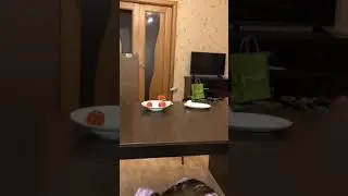 ПРАНК / подменила вареное яйцо на сырое 😱😂