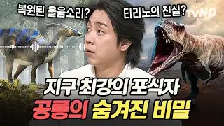 [#벌거벗은세계사] 공룡 좋아하는 사람이라면 꼭 봐야 함🦕 고생물학자가 알려주는 공룡에 대한 모든 것✨