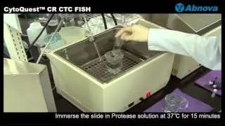 CytoQuest™ CR CTC FISH