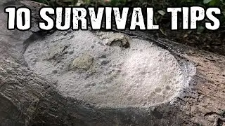 10 Wilderness Survival Tips and Bushcraft Skills you need to know!