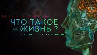 Что такое жизнь?