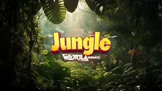 Alok, The Chainsmokers & Mae Stephens - Jungle (WOJTULA REMIX)