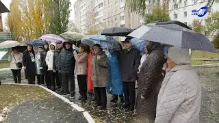 Яблоневые деревья высадили во дворе средней школы №12 в Мозыре