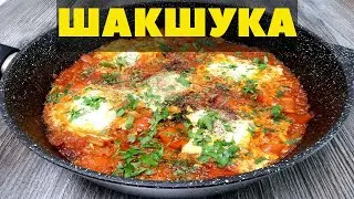 Шакшука. Рецепт шакшуки на сковороде.