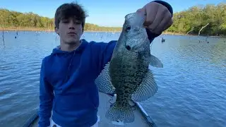 Crappie fishing the spawn with your best little buddy- mildly successful- wildly important