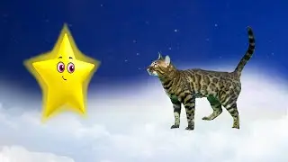 Колыбельная для КОШЕК (cat version) ТВИНКЛ ТВИНКЛ ЛИТЛ СТАР