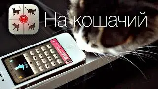 РАЗГОВАРИВАЮ С КОТОМ ЧЕРЕЗ КОШАЧИЙ РАЗГОВОРНИК - КЛАСС!!